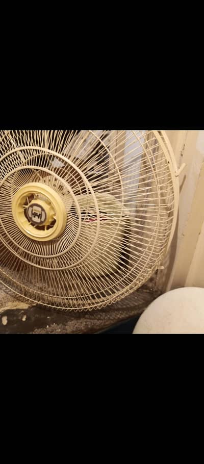 new Pedestal Fan 24in