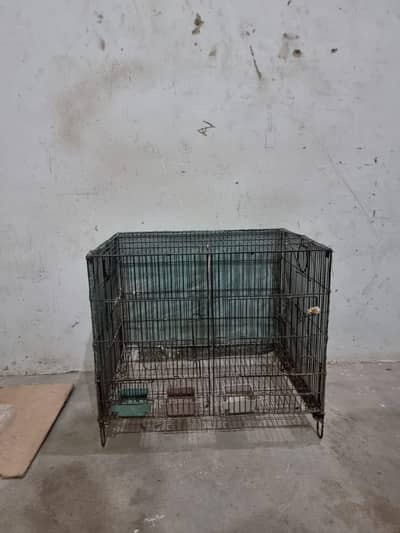 birds cage