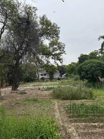 6 Kanal Residential Plot for Sale in Main Cantt