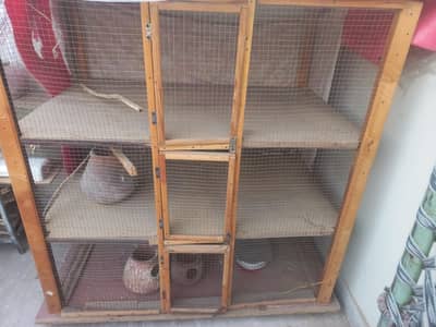 big size cage for hens paroots and pigions