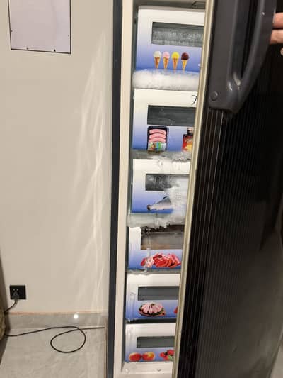 Vertical freezer 1 door