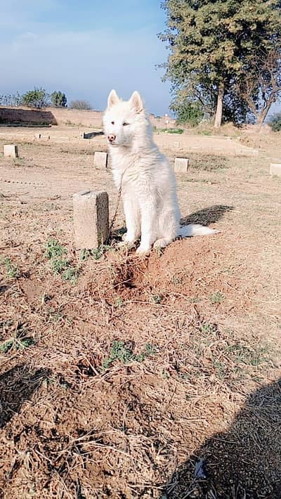 only serius people contect