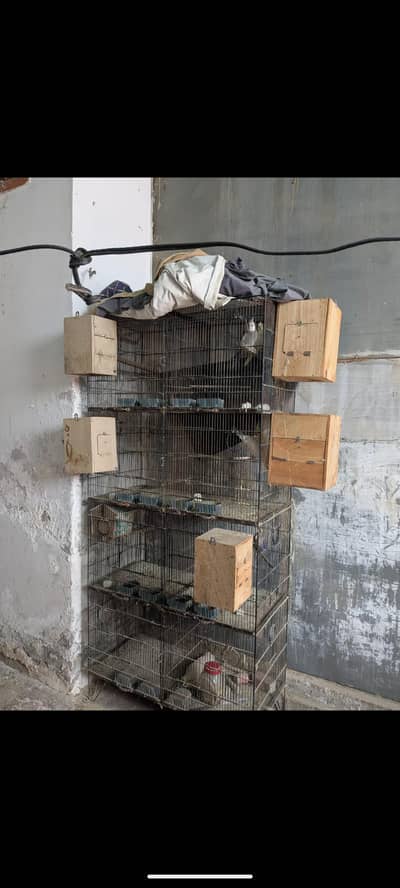 cage for sale good cage ha all ok ha