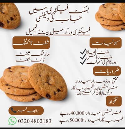 Mayfair buiscuit factory Urgent hiring male female Jobs