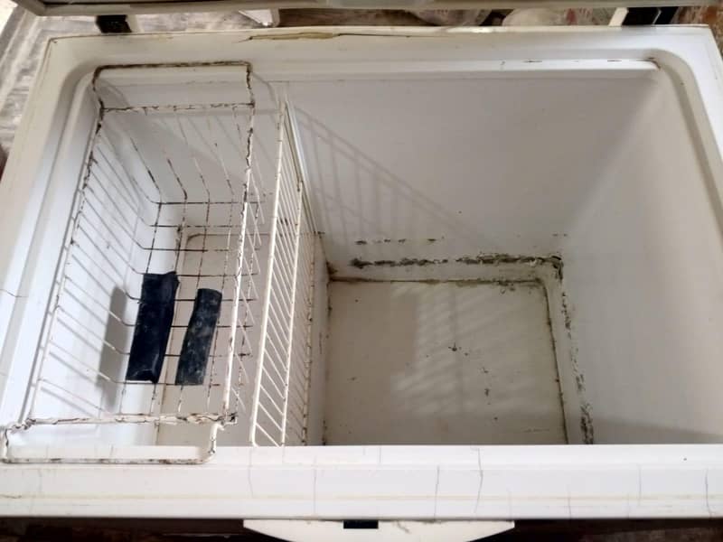 waves Deep freezer 5