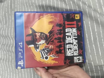 Red dead redemption 2 used (rdr2)