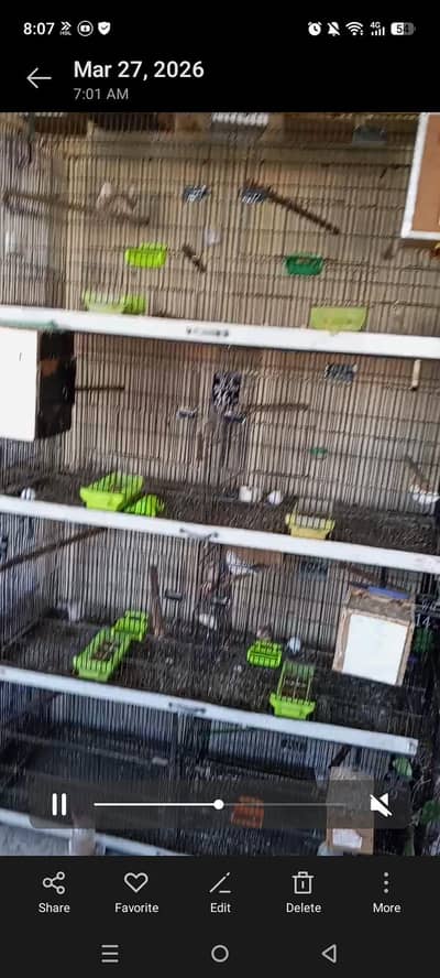 Used Cages with Assessries  looking new home