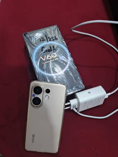 Vivo V60 Gold Color  12/256