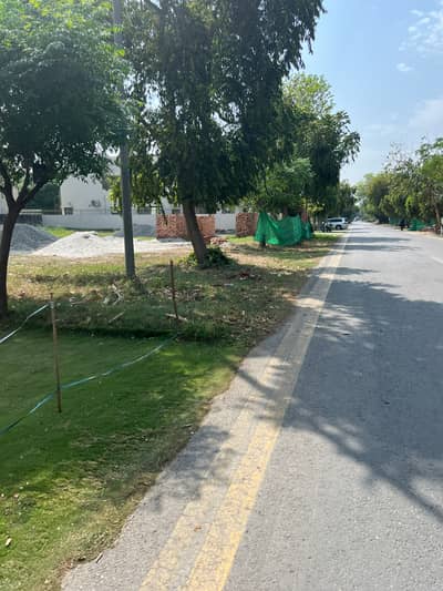 Prime 1 Kanal Road-Level Plot In DHA Phase 6 Surrounded By Modern Homes Exceptional Investment