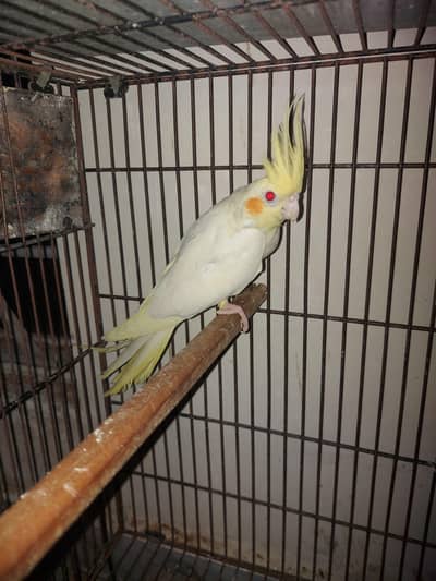 Lokking for new shilter