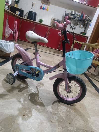 Baby Girl Cycle Fancy Available for rehoming