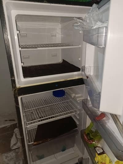 fridge Dawlance