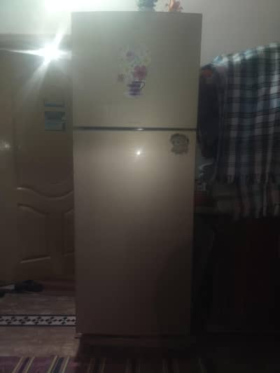 Singar company Large Size Frigh