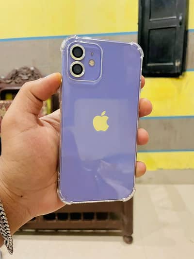 iphone 12 pta approved