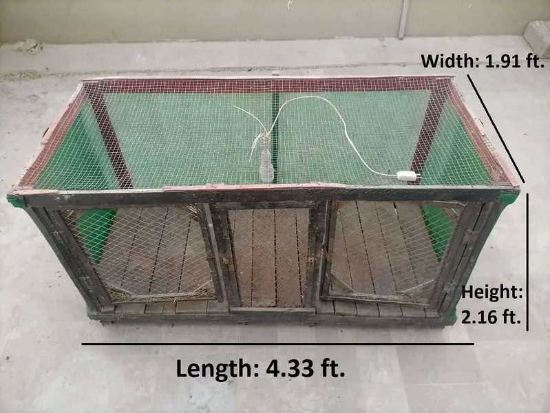 Wood Cage For Hens | 52" (4.3 ft. ) Length x 23" (1.91 ft. ) Depth x 26