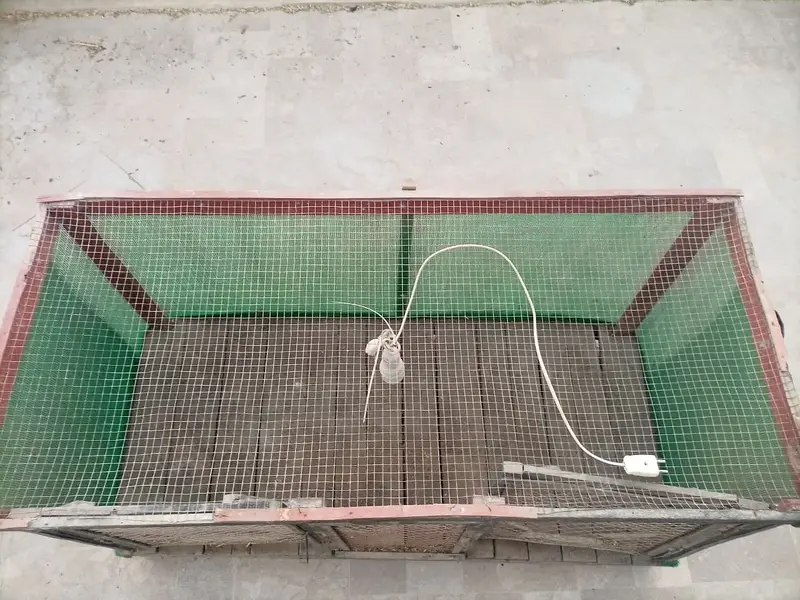 Wood Cage For Hens | 52" (4.3 ft. ) Length x 23" (1.91 ft. ) Depth x 26 — photo 2