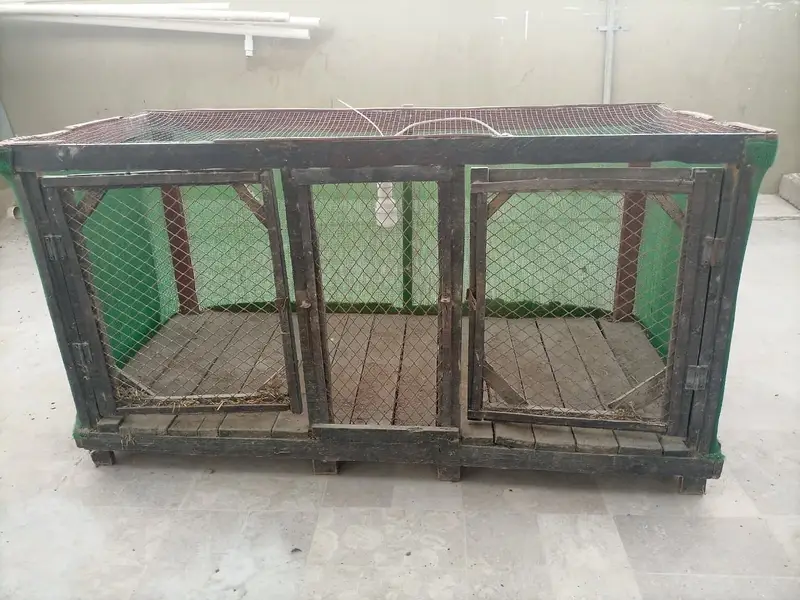 Wood Cage For Hens | 52" (4.3 ft. ) Length x 23" (1.91 ft. ) Depth x 26 — photo 4