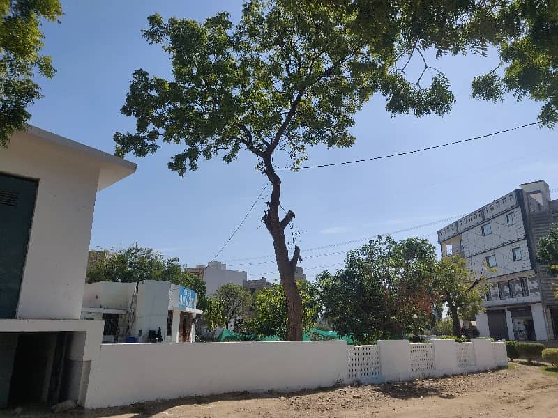 Transfer Plot All Dues Clear 13