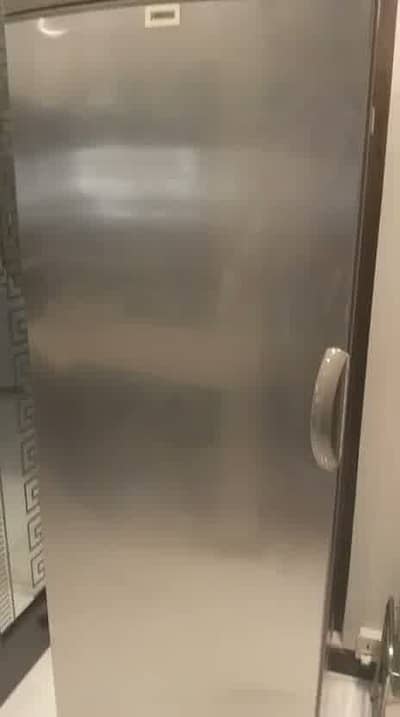 Zuannusi Vertical Freezer