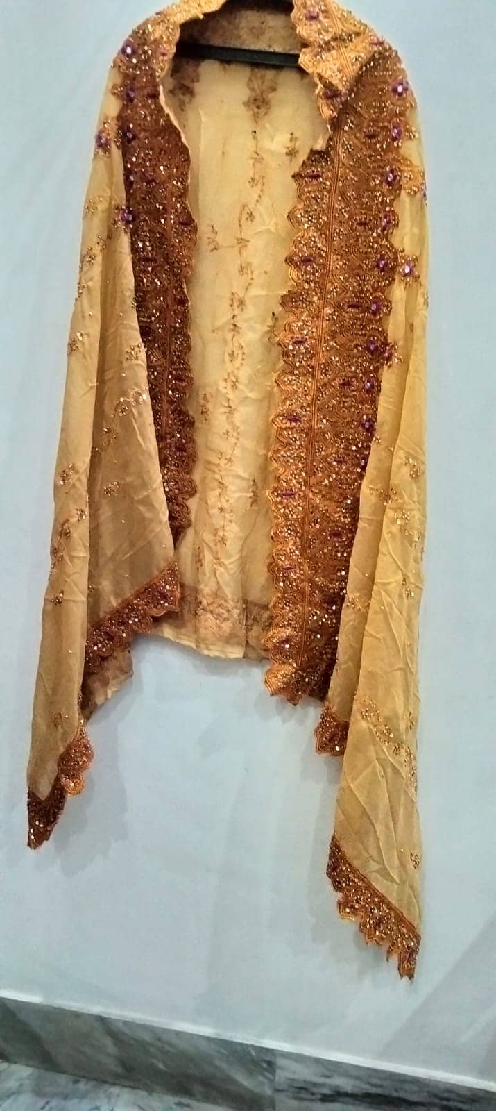 Fancy wedding function dresses only one time use 4