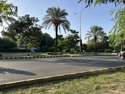 Exclusive Commercial Plot