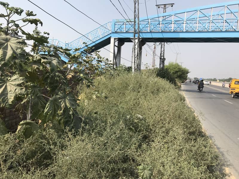 Only for Multinationals Plot 1