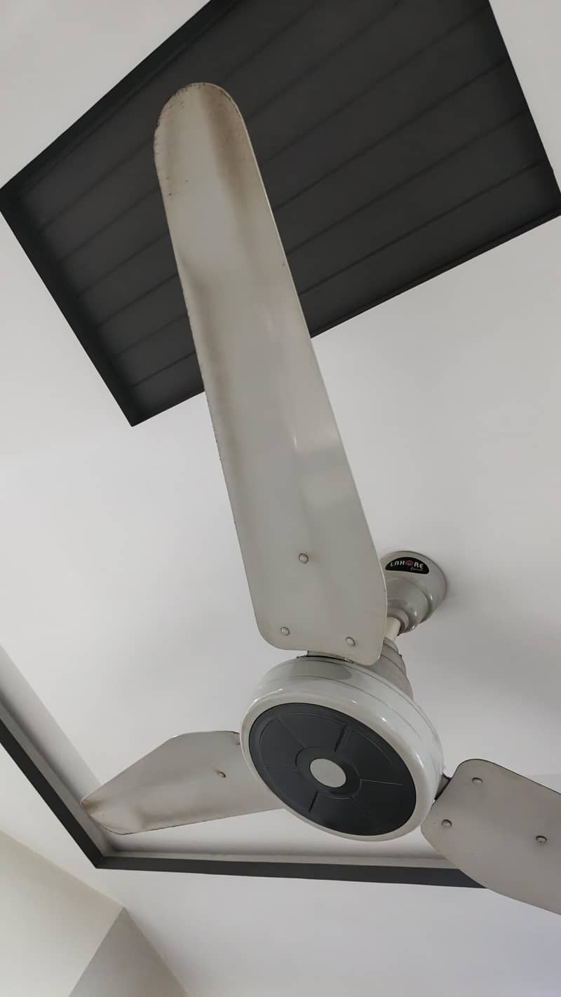 Ceiling Fan 2