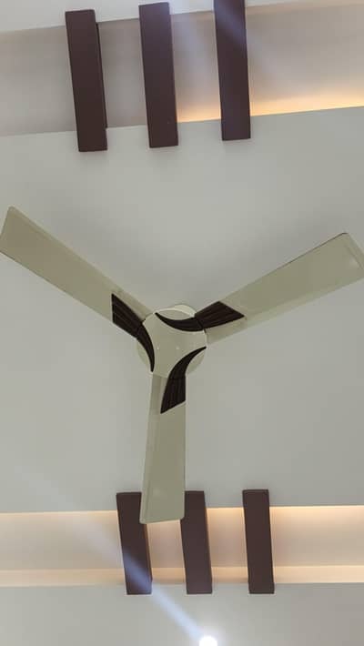 Royal Ceiling Fan