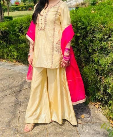 Beige Colour Stylish Dress