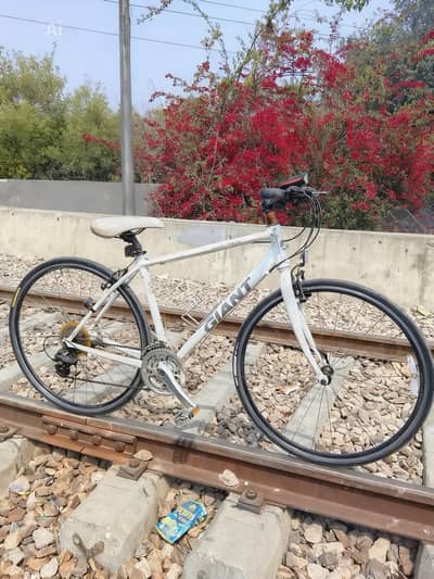 giant hybrid bicycle