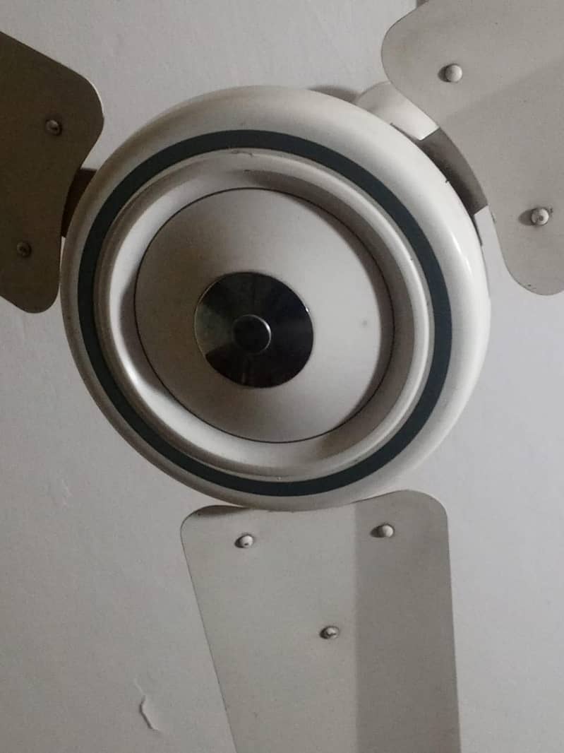 Ceiling Fan 1