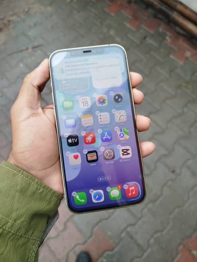 12 pro max PTA aprroved