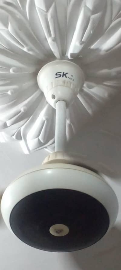 Two ceiling fans for sale.