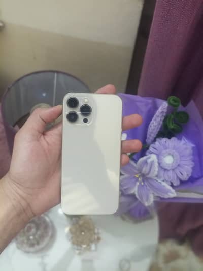 13 pro max PTA approved