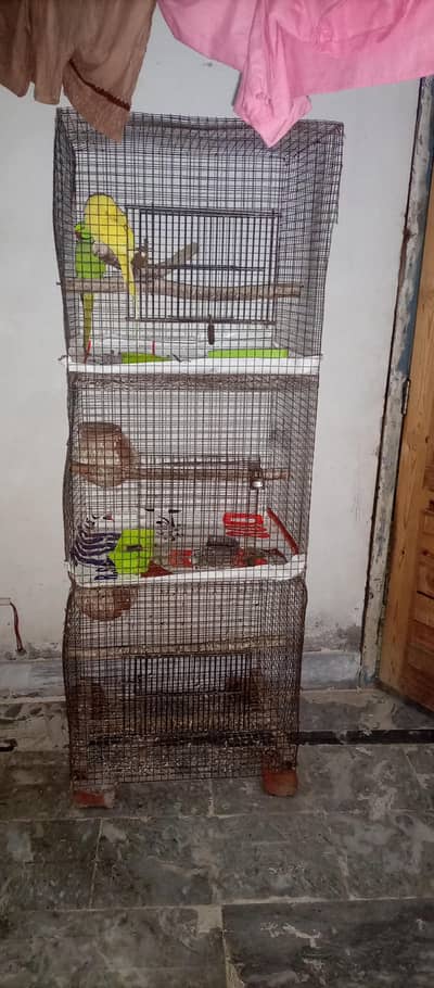 cage for sale