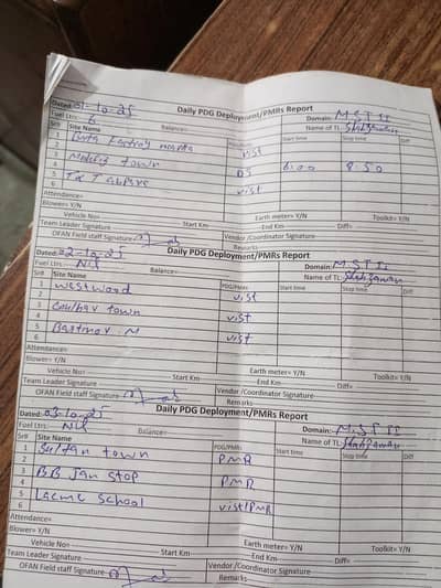 female excel expert required