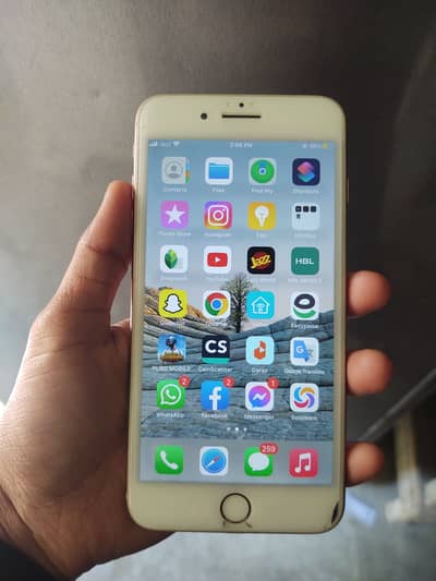 iPhone 8 Plus 256 GB PTA Approved