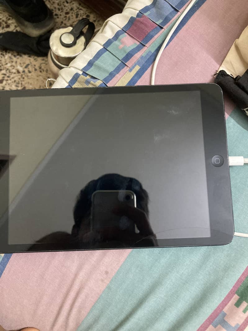 iPad 2mini 2