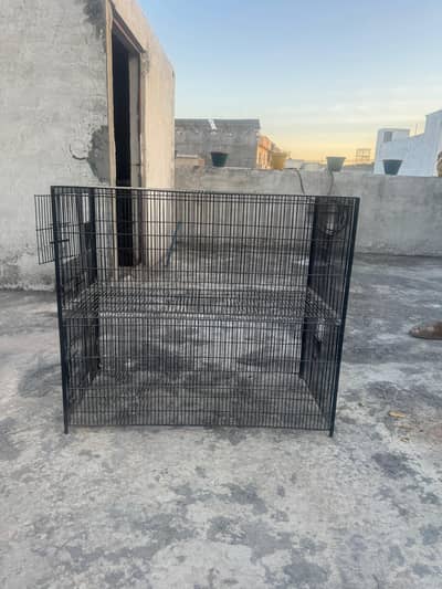 Birds cage