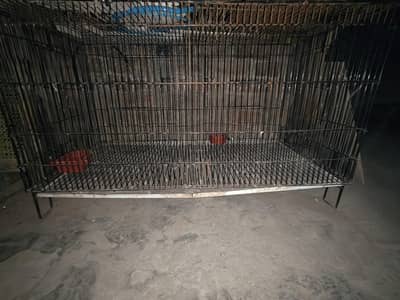 2 Premium Bird Cages for Sale - 1 Large Split Cage & 1 Fancy Cage