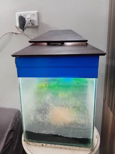 Used Aquarium