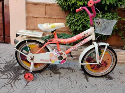 Original Atlantic Baby cycle Size 16 ( 0316/27/45/675)