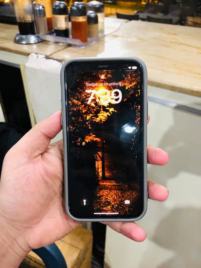 Apple iPhone 11