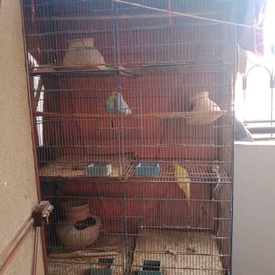 Three portion Parrot cage for sale