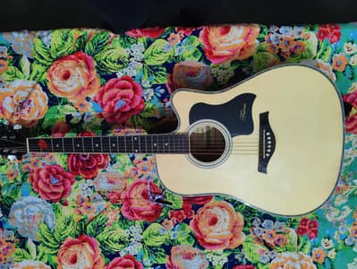 Fairies acoustic guitar