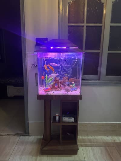 Aquarium for sale 1.5 feet