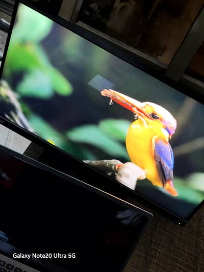 Lenovo borderless LCD