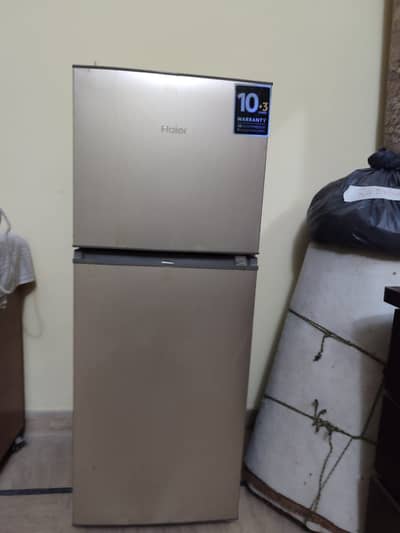 Brand New Haier Fridge