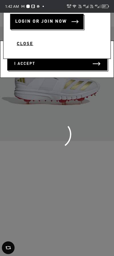 spikes howzit adidas original england import