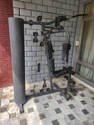 Gym (Finnlo Multi-gym Autark 600)